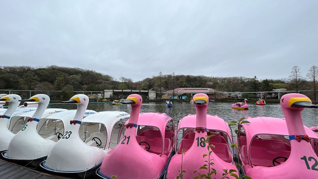 🦁 동산 동식물원(히가시야마 도쇼쿠부츠엔) 이미지 6